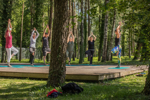 Bild von Yoga im Wald