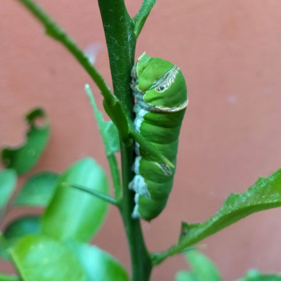 Bild von Gutschein CHF 30