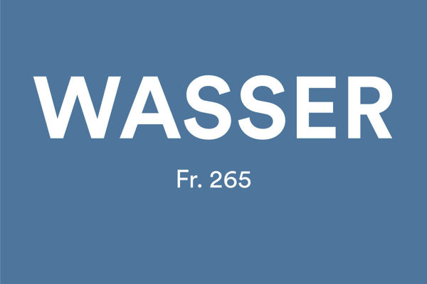 Bild von Wasser Saisonabo Familie 1 Erwachsener mit ChurCard